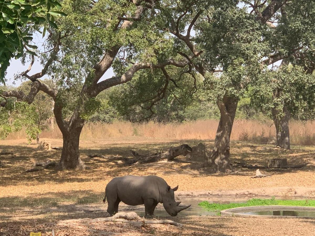 Pombo Kunda Villa Sanyang Kültér fotó