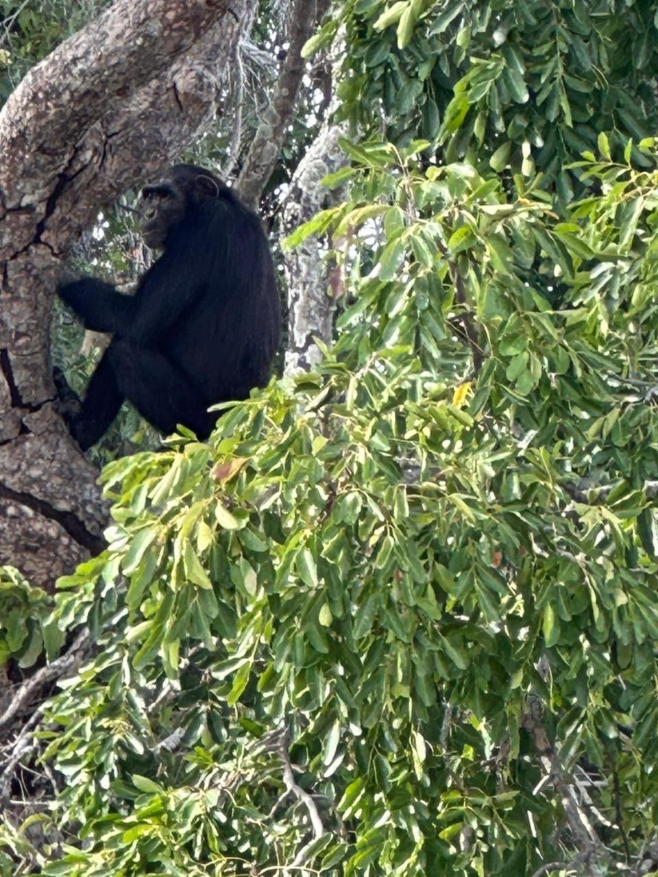 Pombo Kunda Villa Sanyang Kültér fotó